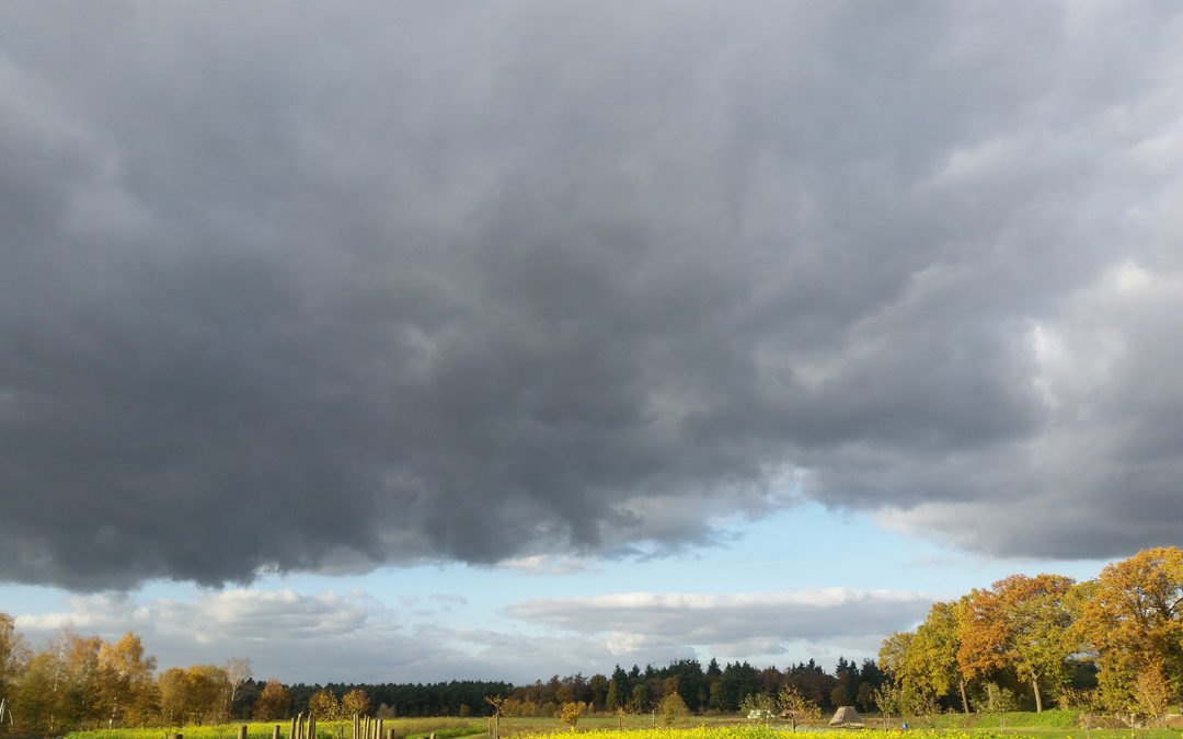 groentepakket week 33 2019