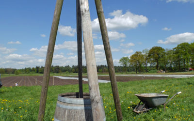 De boerderij op zijn best!