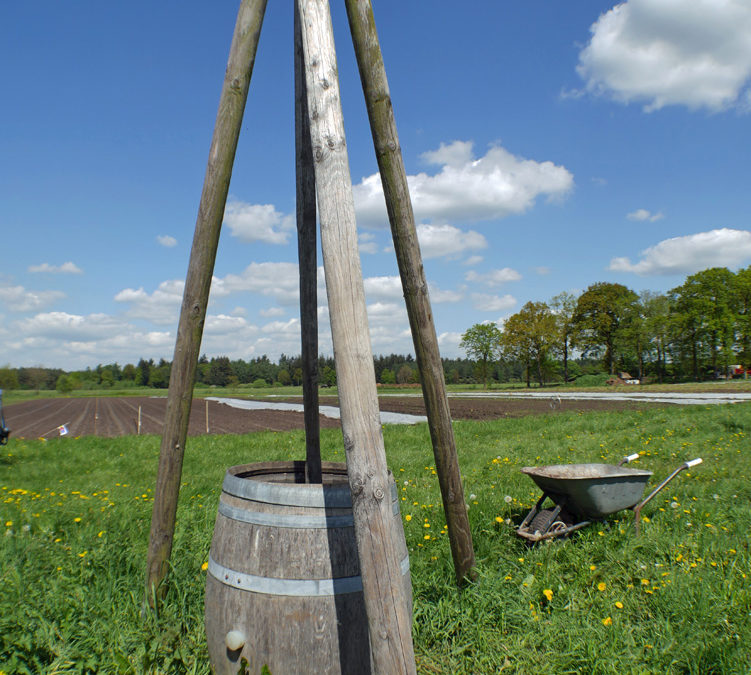 De boerderij op zijn best!