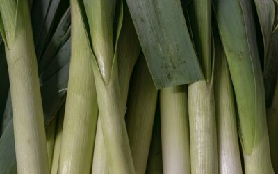 groentepakket week 45 (6 en 7 november)