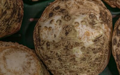 groentepakket week 6 (5 en 6 januari)