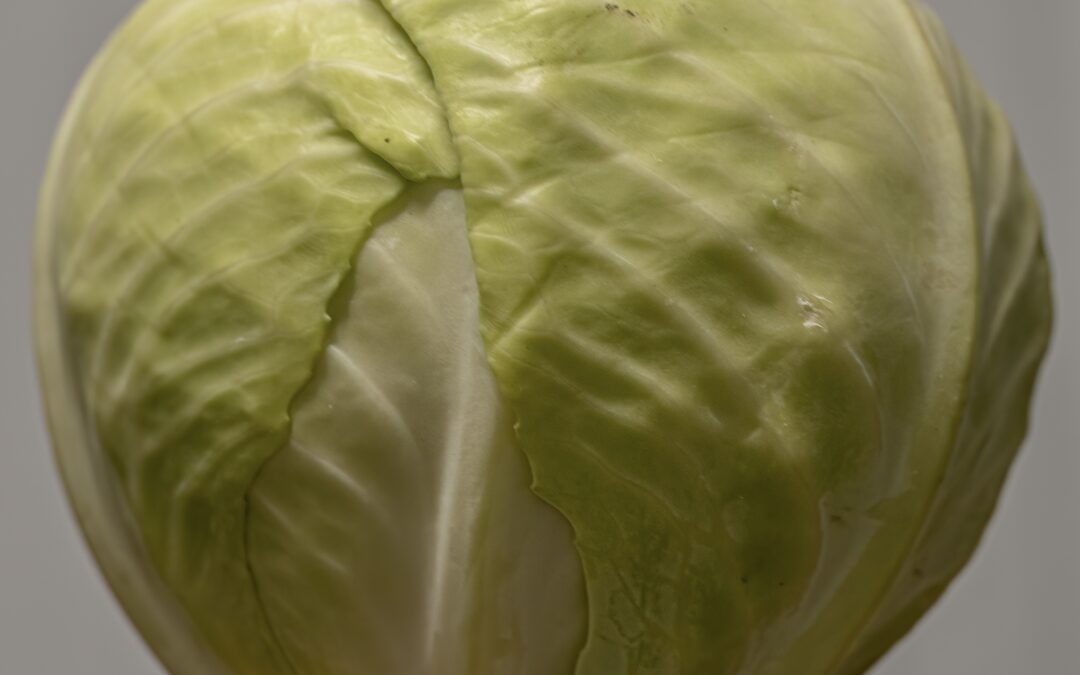 groentepakket week 2 (8 en 9 januari)