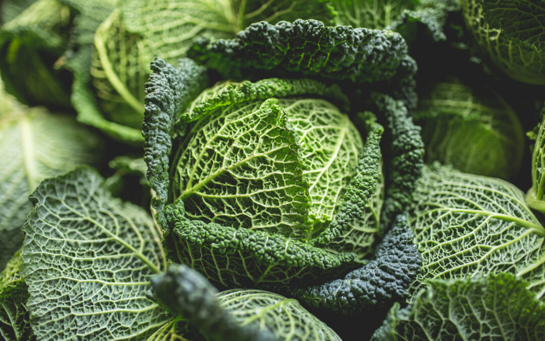 Groene kool ovenschotel