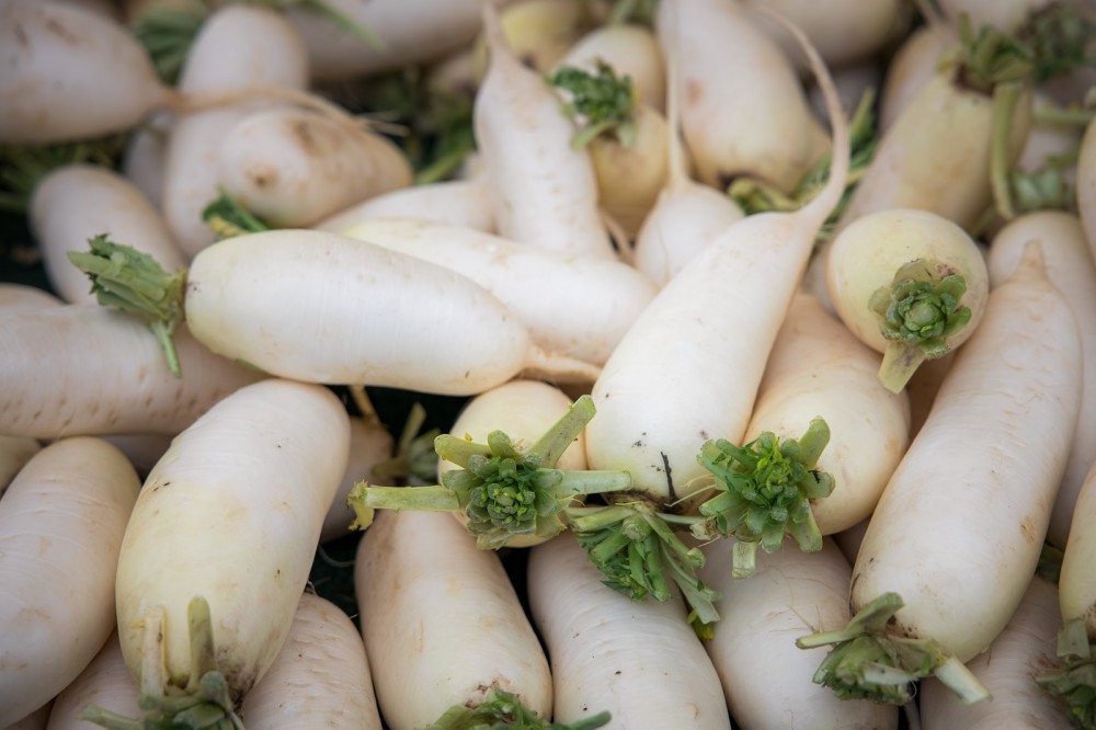 Rettich salade met yoghurt mosterd dressing