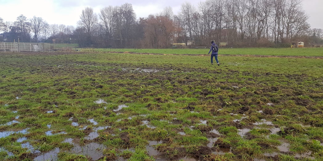 Een wandeling door natte weilanden zou moeten kunnen