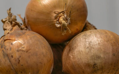 groentepakket week 10 (5 en 6 maart)