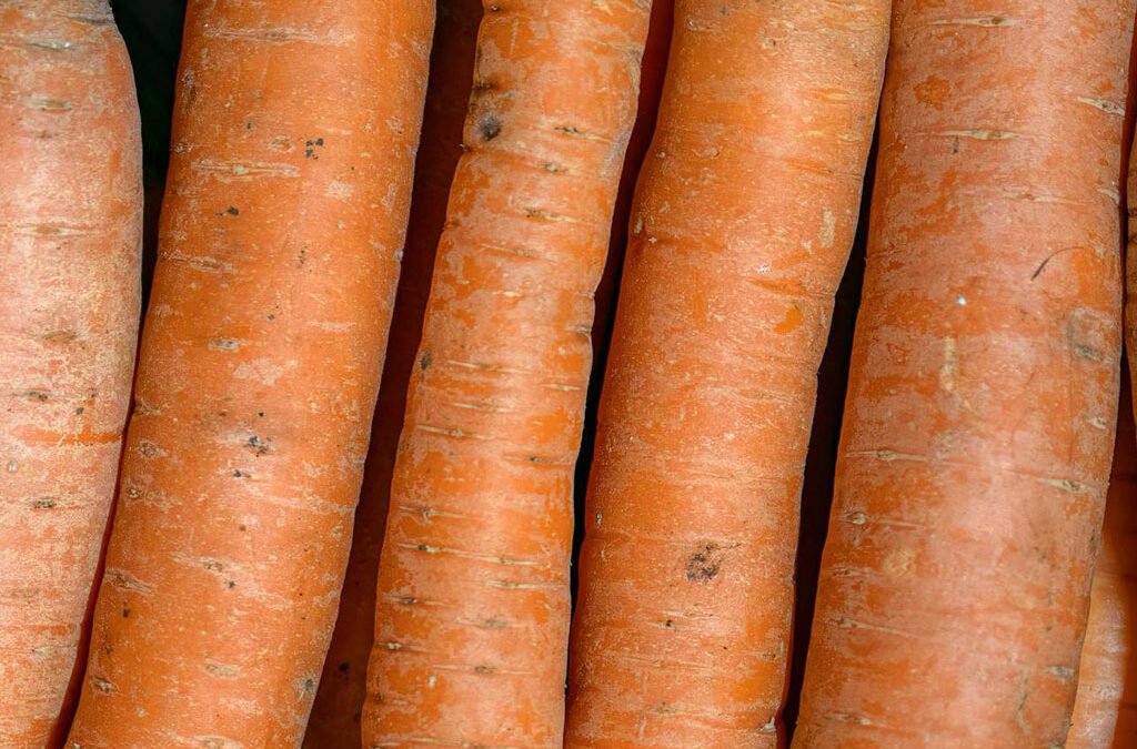 groentepakket week 12 (18 en 19 maart)