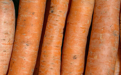 groentepakket week 47 (20 en 21 november)